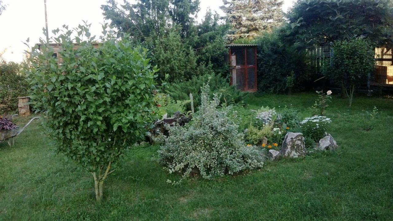 Barnabas Rusnak Ubytovanie V Sukromi Mucin Exterior foto